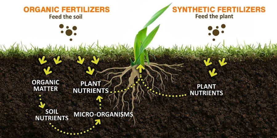 Organic vs Synthetic Fertilizer - Agronomic Advice