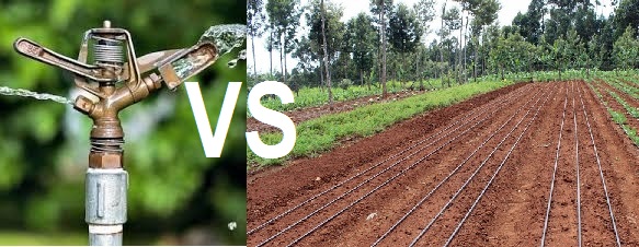 Drip vs Sprinkler Irrigation