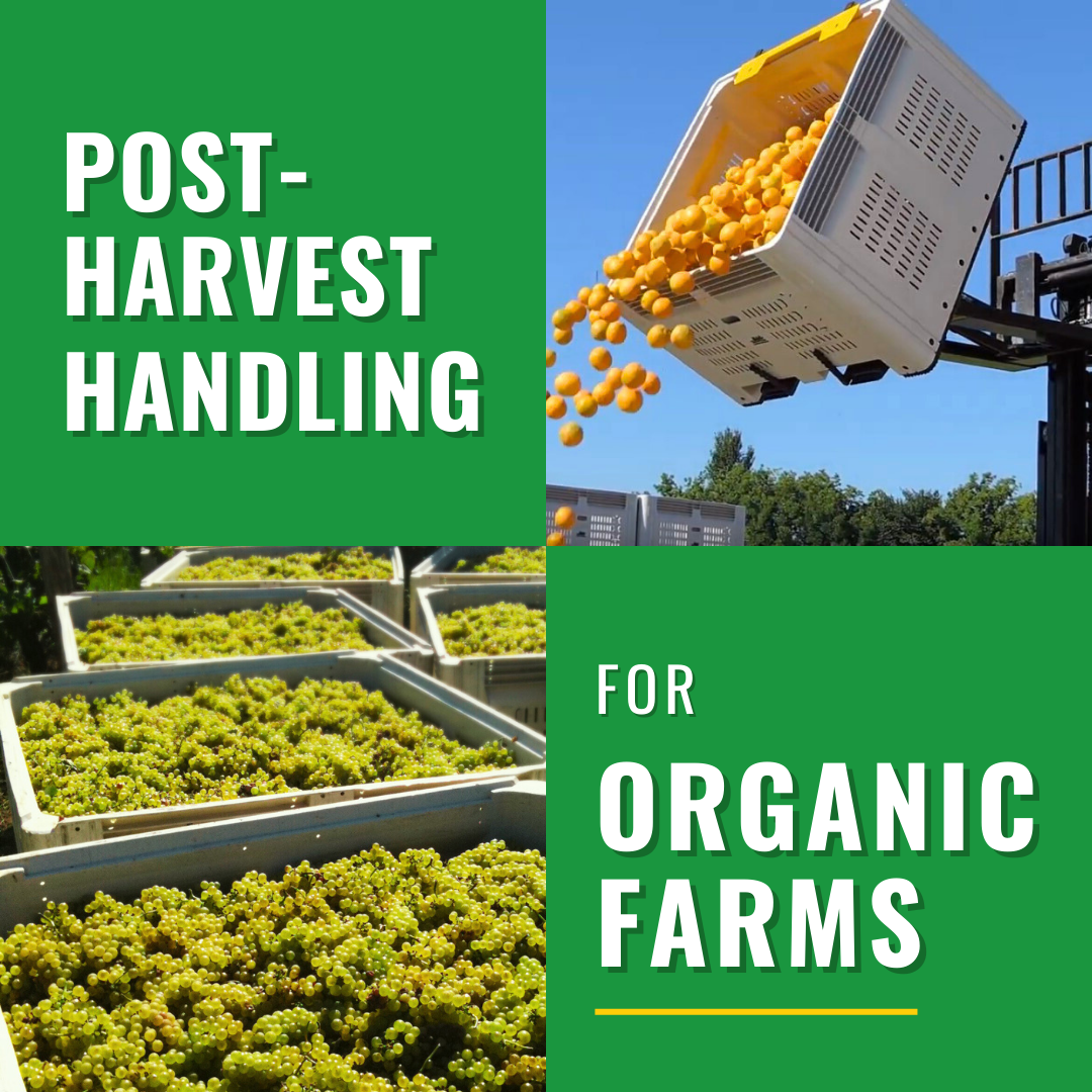 Post-Harvest Handling Solutions